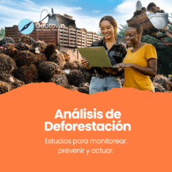 Análisis de Deforestación