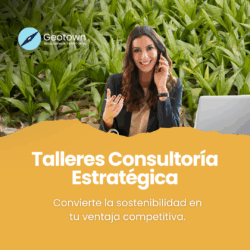 Talleres Consultoría Estratégica
