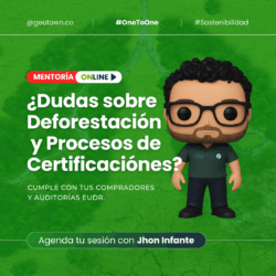 Deforestación y Procesos de Certificación